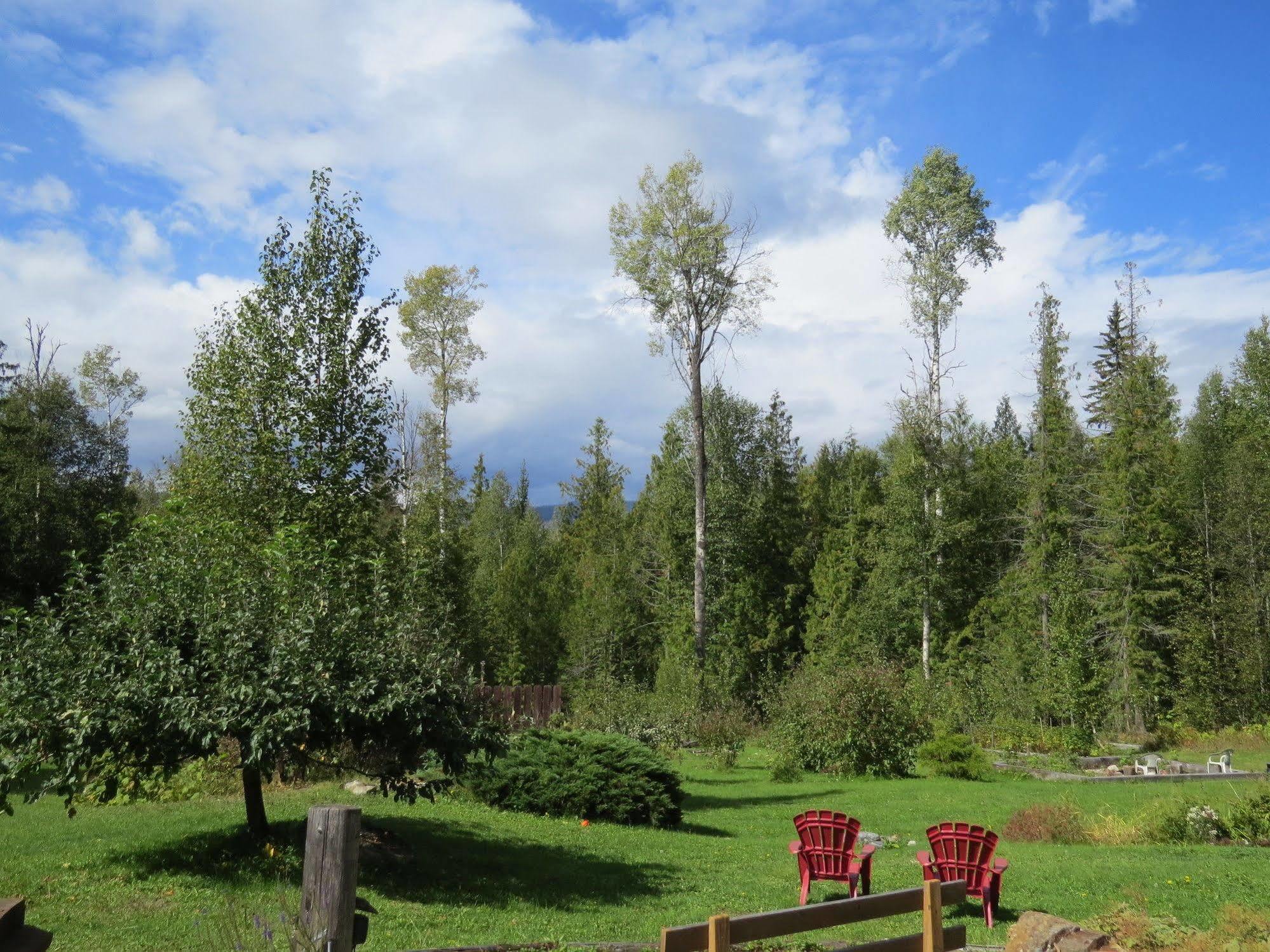 Cedar Haven Cabins And Resort 克利尔沃特 外观 照片